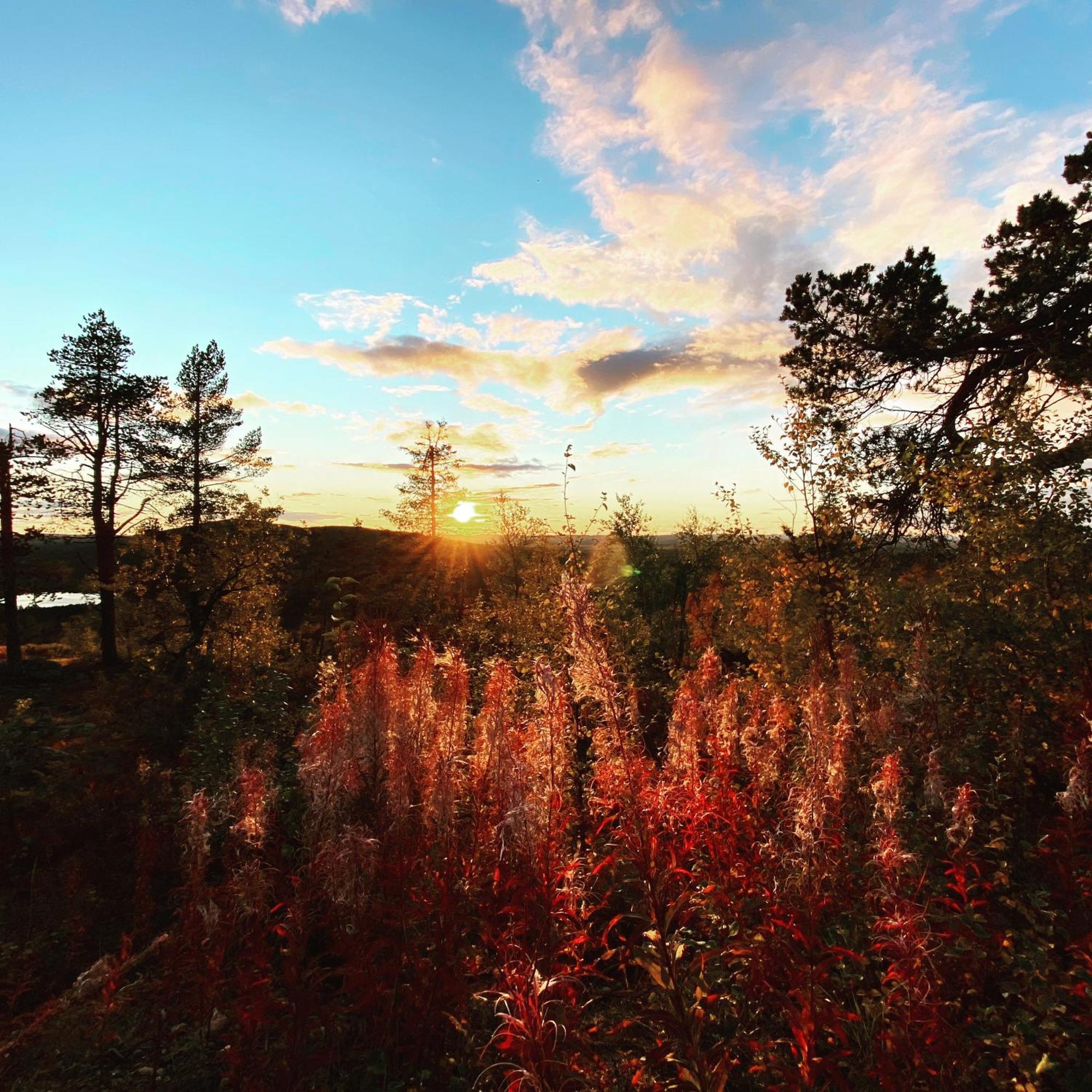 Balder Luxury Lodge Levi Bagian luar foto